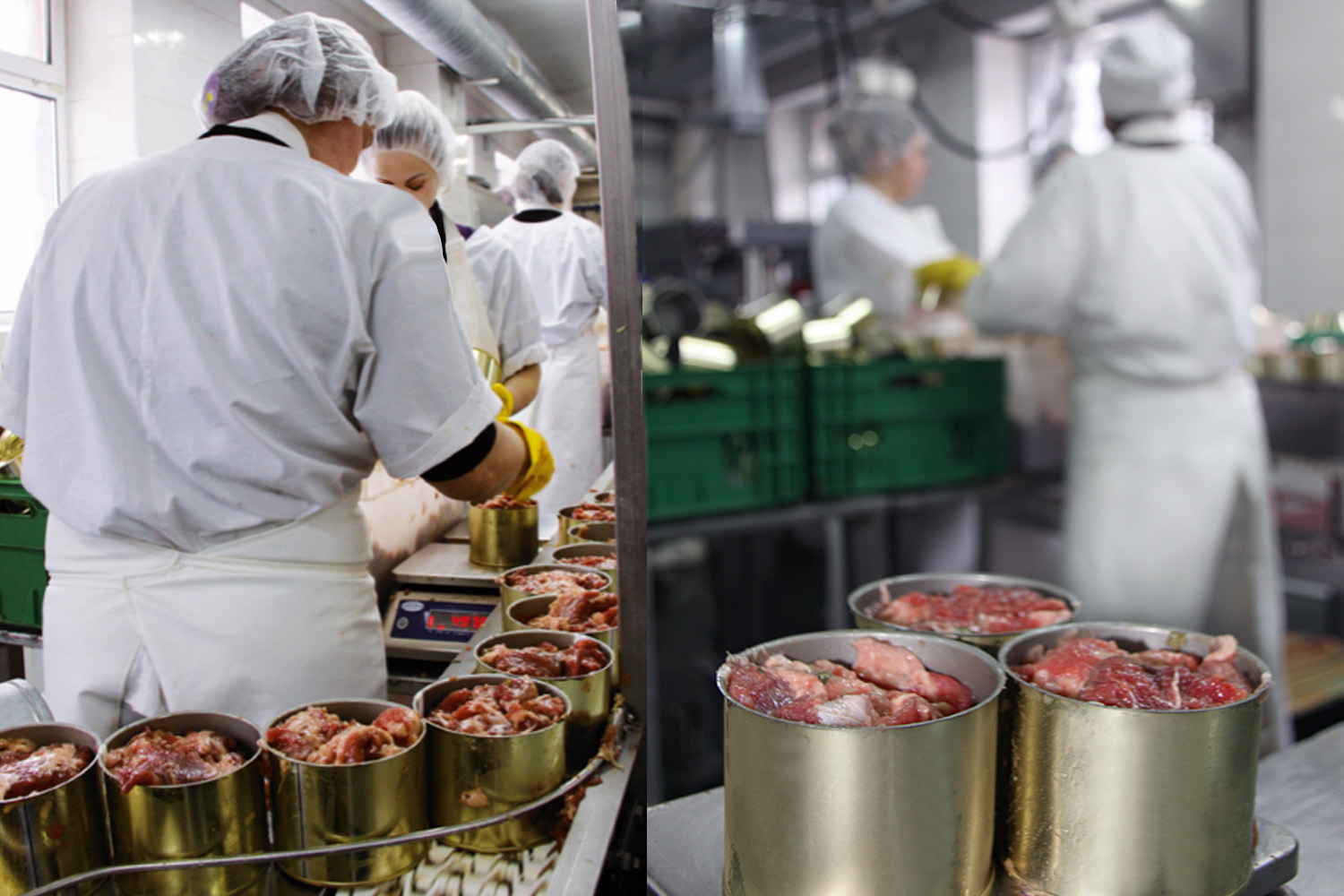 МясоКонсервный завод АРГО в Калининграде по производству мясных консервов